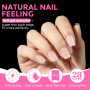 UNA GELLA Capsule Americaine Ongle Ballerine Extra Courte, 216 Pièces 12 Tailles Forme Coffin en Acrylique Full Cover Autocollan