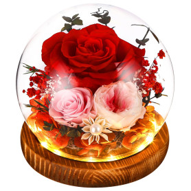 SOBEAU Rose Eternelle Fleur Eternel, Rose Eternelle sous Cloche pour Femme Maman, Noel Saint Valentin Fete Anniversaire, Cadeau 