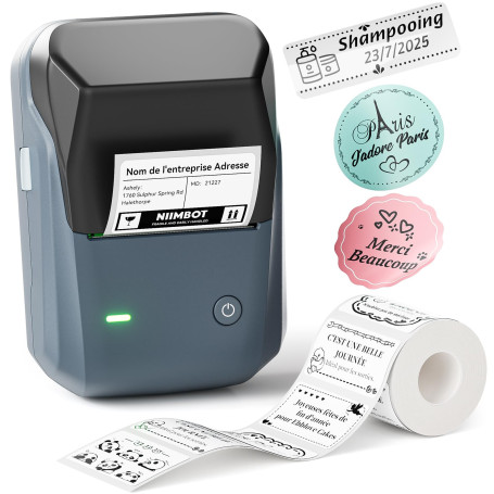 NIIMBOT B1 Étiqueteuse Portable, Identification Automatique pour Larges Étiquettes Autocollante, Facile à Utiliser pour Le Burea