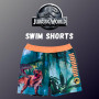 Jurassic World Maillot de Bain pour Garçon, Bermuda Motif Dinosaure, Shorts de Bain pour Garçon, Tailles 3 à 8 Ans