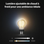 Philips Hue White Ambiance, ampoule LED connectée filament culot E27, compatible Bluetooth, pack de 3, fonctionne avec Alexa, Go