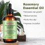 Menthe poivrée Huile essentielle de Romarin et Derma Roller 0.5mm pour la croissance des cheveux, les soins de la peau, la crois