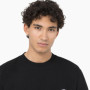 T shirt à manches courtes Dickies Summerdale Noir Homme