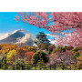 Puzzle 2000 pcs Chateau d Osaka - Japon