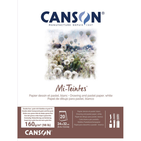 CANSON Mi-Teintes - Bloc 20 feuilles de papier dessin 24 x 32 cm - 160g/m² - Blanc