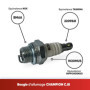 CHAMPION - Bougie D'Allumage CHAMPION CJ8 - Durable & Fiable - Pièce De Rechange Haute Qualité - Equivalent NGK BM6A, TASHIMA 22