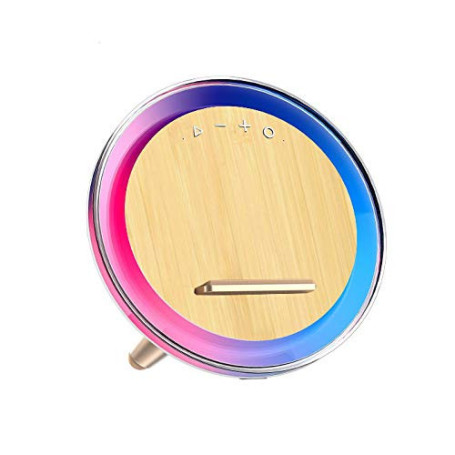 BLAUPUNKT Enceinte Bluetooth puissante - Enceinte Bluetooth Portable - Enceinte Portable - Enceinte étanche - sans Fil - Enceint