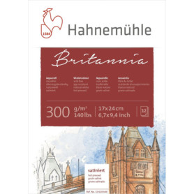 Hahnemuhle Britannia 300gsm Block - 17 x 24cm Hot Pressed