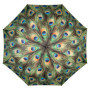 VON LILIENFELD® Parapluie Canne Grand Robuste Ouverture Automatique Femme Homme Paon