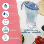 Laica J9074A1 Kit 13 filtres bi-flux et carafe filtrante, 2,3 litres au total, 1,2 litres filtrés