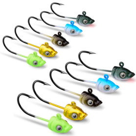 DHER Lot de 10 hameçons à tête plombée pour appâts de pêche,Pêche Hameçons Jig Hameçon de Pêche Hameçons Carpe tête, 5g g Fish H