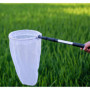 Filet de pêche télescopique pour insectes et papillons - Avec anneau de 28 cm - Poignée extensible jusqu'à 93 cm