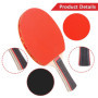 Raquette de Ping-Pong Raquette Ping Pong Raquette Tennis de Table Set de Tennis de Table avec 2 Raquette de Ping Pong 3 Balle de