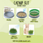 R&R SHOP - Kit Cataire Double Graines - Pot de Germination, 2 Types d'herbe à Chat, stimulante et Digestive, 4 sachets de graine