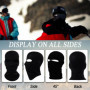 SEFIRST 2 Pcs Cagoule Masque de Ski 2 Trous, Cagoule Moto Balaclava Hiver Tour de Cou Homme Femme Coupe, Protection UV, Charpe d