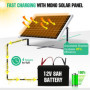 ECO-WORTHY Kit Panneau Solaire 25W 12V MONO : 25W Panneau Solaire + Support de Montage + Câble de connexion SAE + Contrôleur de 