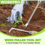 WORKPRO 2 Pièces Desherbeur Manuel, Couteau Désherbeur, Désherbeur Manuel en Acier Inoxydable avec Poignée Bois, Arrache Mauvais