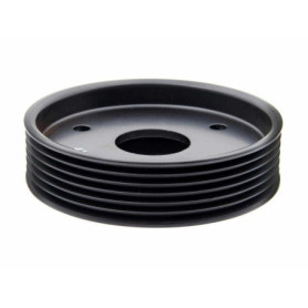 Poulie de Pompe de Direction Assistée pour Clio 2 Avantime Espace 3 et 4 Kangoo Laguna 2 Master 2 Megane 2 Scenic 2 Thalia Trafi