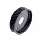 Poulie de Pompe de Direction Assistée pour Clio 2 Avantime Espace 3 et 4 Kangoo Laguna 2 Master 2 Megane 2 Scenic 2 Thalia Trafi