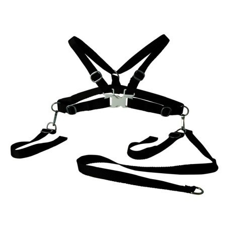 sunnybaby 100660 - Ceinture de sécurité pour enfant avec laisse - Textile - Couleur : noir - Ajustement optimisé - Fabriqué en A