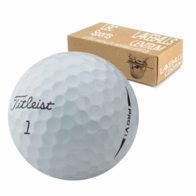 50 TITLEIST PRO V1 BALLES DE GOLF RÉCUPÉRATION / LAKE BALLS - QUALITÉ AAA / AA (A / B GRADE) - DANS SAC EN FILET