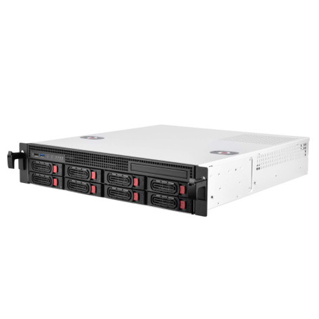 SilverStone SST-RM21-308 - Châssis de serveur monté en rack 2U, prenant en charge 8x SAS / SATA et un mini-SAS SFF-8087 de 6 Gb 