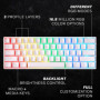 HKKB GK61 Mechanical Gaming Keyboard 60 Percent | 61 RGB Rainbow LED Backlit Programmable Keys | USB Wired | for Mac and Windows