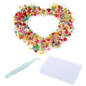 ZGDEIWGF 280 Petites Fleurs Séchées, Boîte de Rangement, Pince à Épiler pour Bricolage et Décoration