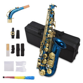 Btuty Saxophone alto en laiton gravé en mi bémol avec coquillage d'ormeau, boutons instrument à vent avec étui, gants, chiffon d