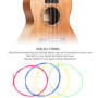 Ukulele Strings Colored, Ukulele Cordes Nylon Ukulele Coloré pour le remplacement des cordes Ukulele