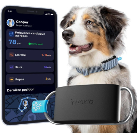 Invoxia Minitailz - Traceur GPS & Santé n°1 pour Chien - Alertes Anti-Fugue, Scan respiratoire - Localisation Temps réel, Rechar