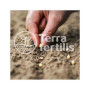 Terra Fertilis - Fertilisant Plantes spécial Potager - à base de Biochar Mycorhizé - Stimule la production et améliore la résist