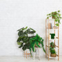 Relaxdays Support de Plantes, en Bambou en Set de 2, pour Pots de Fleurs jusqu'à 32 cm Ø, réglable & empilable, Naturel