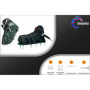 Pangolino Chaussures à ongles entièrement assemblés - Clous de 42 mm + clous de 60 mm - Utilisé comme aérateur de pelouse ou com