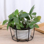 Erpmlyo 4 PièCes -Corps Suspendus JardinièRes Porte-Pots de Fleurs Plante Fer Supports ClôTure MéTal en Pot Support Monté Balcon