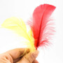 volumoon 100Pcs Plumes Colorées, Plume Loisirs Creatifs, Plumes d'oie, Plumes Décoratives, Plume Naturelles pour Attrape-Rêves, 