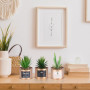 BELLE VOUS 3 Pièces Mini Plante Artificielle Interieur en Plastique avec Pot en Métal Cuivré - 10 x 7,5 cm - Fausse Plante Cactu