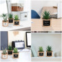 BELLE VOUS 3 Pièces Mini Plante Artificielle Interieur en Plastique avec Pot en Métal Cuivré - 10 x 7,5 cm - Fausse Plante Cactu