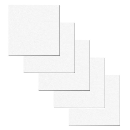 AvoDovA 5PCS Blanche Toiles à Peindre Encadrées, 10*10cm Coton Chassis Entoilé, Panneaux de Toile, Tableaux en Toile à Peindre, 