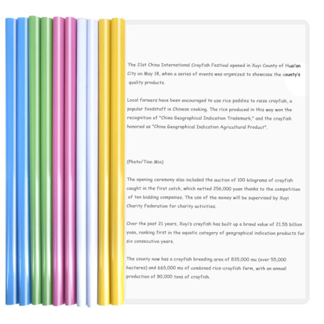 10 Feuilles Dossier Coulissante Transparent, Chemise de Couvertures de Rapports avec Barre Coulissante, A4 Reliure Dossier, Rapp