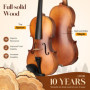 CAHAYA Ensemble Violon en Bois Massif: Violon 4/4 Fait Main avec Finition Mate, Table en Épicéa et Fond en Érable, Convient aux 