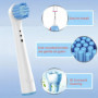 Brossette de Rechange Compatible pour Braun Oral b Têtes Brossettes de Rechange Têtes Brosse Embout Precision Floss Cross Action