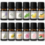 Huiles Essentielles - Kit d'huiles 100% pures - Ensemble-cadeau des 12 meilleures huiles d'aromathérapie - Pack de 12, 10ML (Euc
