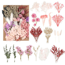 Fleurs séchées Naturelles et pétales séchés – Fleurs séchées colorées pour Loisirs créatifs, idéales pour résine, Bougies, Bijou