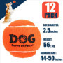 AMA SPORT - AD-Dog-Orange - Balles de Tennis pour Chiens (6,35 cm) -Taille M - Orange - Lot de 12 - Rebond Adapté - Haute Visibi