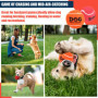 AMA SPORT - AD-Dog-Orange - Balles de Tennis pour Chiens (6,35 cm) -Taille M - Orange - Lot de 12 - Rebond Adapté - Haute Visibi