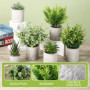 7 Pièces Plantes Artificielles,Mini Plantes Artificielles,Plantes artificielles pour la décoration du Salon, de la Chambre, du B