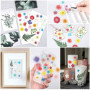 CENPEK Fleurs pressées séchées Fleurs séchées Naturelles Fleurs pressées réelles Fleurs séchées colorées pour Bijoux en résine N