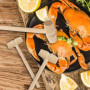 TOYMIS 10 pièces Mini Marteau en Bois Crabe Homard Maillets Martelant Fruits de mer Coquille fissure Marteau Arts Artisanat Four