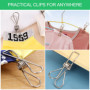 Rseuphiee 100 Pièces Pinces à Linge, Pinces À Linge en Acier Inoxydable, Pince a Linge Exterieur, Pince à Linge Metal, pour Les 